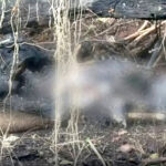 Corpo carbonizado encontrado em Três Lagoas-MS