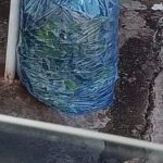Meio Ambiente orienta uso correto do saco azul para coleta seletiva em Castilho