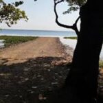 Paulo Duarte Boaventura anuncia abertura de licitação para construção de Prainha Municipal em Castilho (SP)