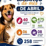 PROTEÇÃO E AMOR – Balanço do Bem-Estar Animal de Castilho destaca mais de 300 atendimentos em abril e reforça campanhas solidárias