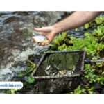 CTG solta 301 mil peixes no reservatório da Usina Hidrelétrica