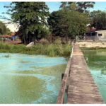 MEIO AMBIENTE – Crosta verde cobre afluente do Tietê no noroeste de SP e afasta pescadores e turistas