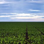 ECONOMIA – Fazenda estuda Fundo Garantidor para dívidas rurais
