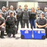 Menino morre ao cair de bicicleta e bater a cabeça no chão em Mirandópolis
