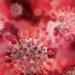 SAÚDE – OMS declara emergência global surto de Ebola no Congo