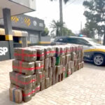 TOR e FICCO apreendem quase 2 toneladas de maconha em Penápolis