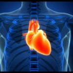 Terapia para doença da aorta avança, mas detecção tardia é desafio