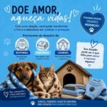 Chegada do inverno mobiliza Castilho para aquecer animais de estimação