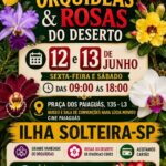 Feira de Orquídeas e Rosas do Deserto em Ilha Solteira termina neste sábado