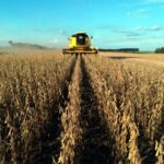 ECONOMIA – Leilões de propriedades rurais disparam no país com avanço da dívida de produtores