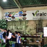 Viralcool participa da Semana do Meio Ambiente em Castilho com ações educativas sobre sustentabilidade