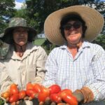 AGRICULTURA – Programa Município Agro impulsiona investimentos e fortalece o desenvolvimento rural sustentável em Monte Alto