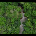 MEIO AMBIENTE – Área queimada no Brasil fica 31% abaixo da média histórica em 2025