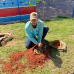 Praça Matriz e Centro Comunitário Laranjeiras ganham novas árvores em mais uma etapa de arborização