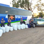 Boliviana é detida em ônibus com 318 Kg de folhas de coca
