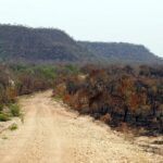 Mapbiomas: menor vegetação nativa aumenta exposição do país ao El Niño