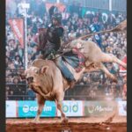 Mirandopolense Felipe de Lima conquista vaga e se prepara para disputar o Barretos International Rodeo