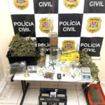 Polícia Civil acaba com estufa clandestina de maconha