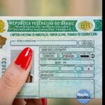 Quem abandonar animais na rua utilizando veículos vai perder CNH