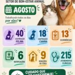 Crescimento expressivo em atendimentos clínicos marca o Balanço de Agosto das atividades do Bem-Estar Animal em Castilho