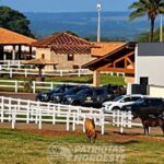 GAECO e BAEP cumprem mandados em propriedades de empresário na região