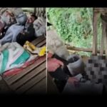 Homem é preso dentro de galinheiro horas depois de tentar mata a ex