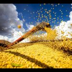 Produção agrícola brasileira superou R$ 927 bilhões em 2025