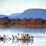 MEIO AMBIENTE – Cerrado brasileiro perdeu 13,9 milhões de hectares de margens de rios