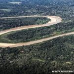 MEIO AMBIENTE – Holanda anuncia US$ 500 milhões em fundo florestal criado pelo Brasil