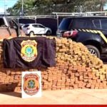 PF apreende quase 2 toneladas de maconha em Três Lagoas