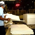 Produção florestal no país alcança recorde de R$ 47,9 bilhões em 2025
